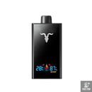 IGNITE V300 - 30000 Puffs - Pod Descartavel